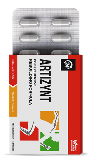 ArtiZynt Kapseln – Offizielles Produkt